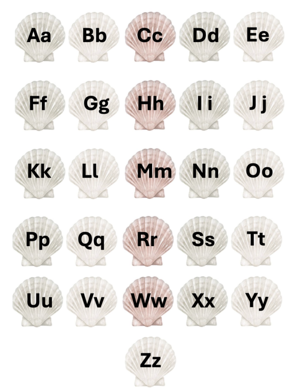 ABC Shells Sheet for Sensory Bag